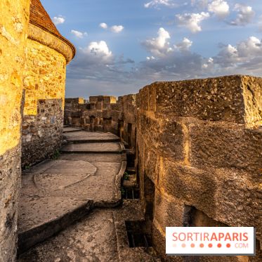 Le Château de Blandy-les-Tours en Seine-et-Marne (77), nos photos -  A7C7965