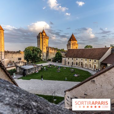 Le Château de Blandy-les-Tours en Seine-et-Marne (77), nos photos -  A7C7980