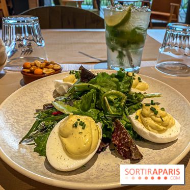 Hôtel Le Bout du Parc à l'orée du parc de Versailles - IMG 8468