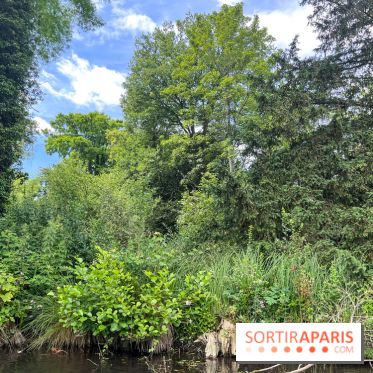 Domaine de Chamarande - nos photos - image00003