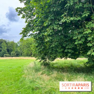 Domaine de Chamarande - nos photos - image00027