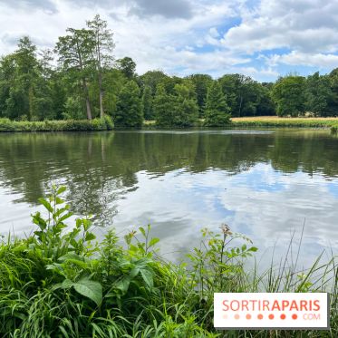 Domaine de Chamarande - nos photos - image00017