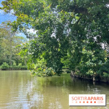 Domaine de Chamarande - nos photos - image00001