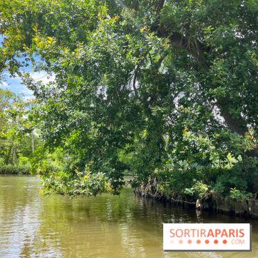 Domaine de Chamarande - nos photos - image00007