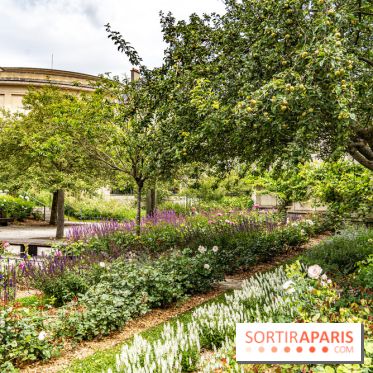 Le brunch à volonté de Chez Molly à Versailles dans les Yvelines - 78 -  jardin des senteurs
