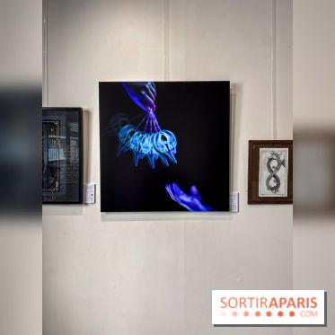 Le Cabinet de l’Oracle : l'exposition ésotérique à la galerie La Lison - IMG 8617