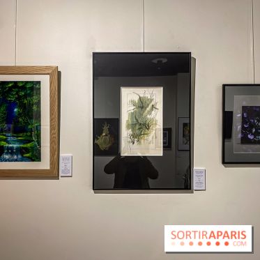 Le Cabinet de l’Oracle : l'exposition ésotérique à la galerie La Lison