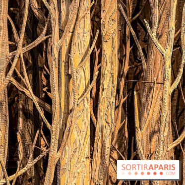 Eva Jospin à la Galleria Continua - image00029