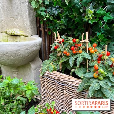 Le Potager, Roch Hotel & Spa - Potager