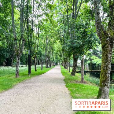 Crécy-la-Chappelle - nos photos - image00094