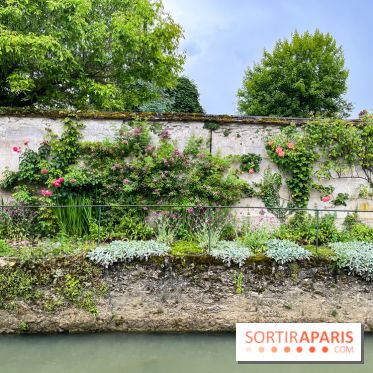 Crécy-la-Chappelle - nos photos - image00055