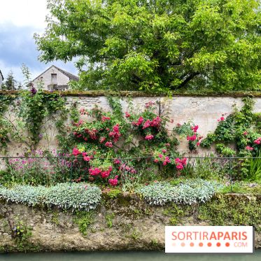 Crécy-la-Chappelle - nos photos - image00056