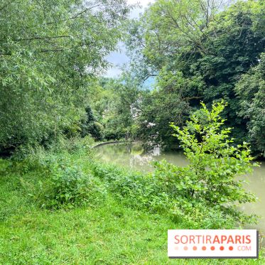 Crécy-la-Chappelle - nos photos - image00041