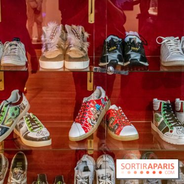 Star Wars : Fans of the Galaxy, l'expo à découvrir dans une galaxie lointaine, très lointaine - DSC 0863