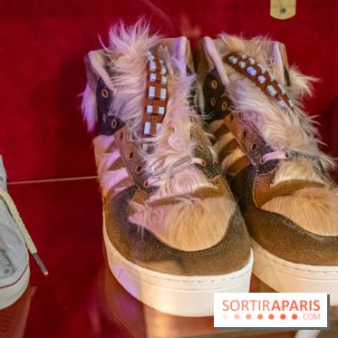 Star Wars : Fans of the Galaxy, l'expo à découvrir dans une galaxie lointaine, très lointaine - DSC 0864