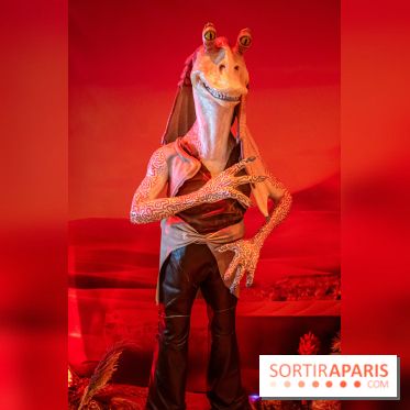 Star Wars : Fans of the Galaxy, l'expo à découvrir dans une galaxie lointaine, très lointaine - DSC 0898