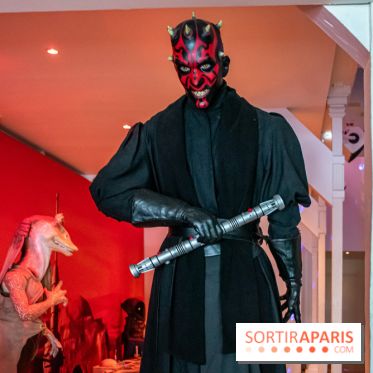 Star Wars : Fans of the Galaxy, l'expo à découvrir dans une galaxie lointaine, très lointaine - DSC 0907