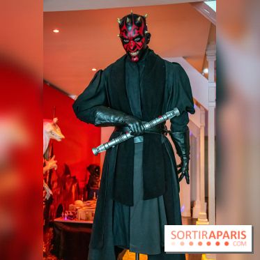 Star Wars : Fans of the Galaxy, l'expo à découvrir dans une galaxie lointaine, très lointaine - DSC 0908