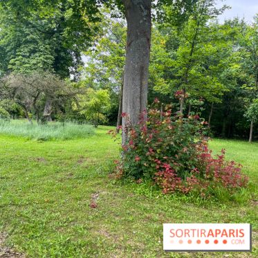 Les îles du lac inférieur, au bois de Boulogne - nos photos