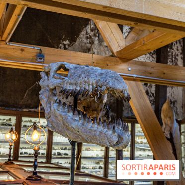 Un dinosaure géant au Château de Dampierre - Jurassique au Château de Dampierre