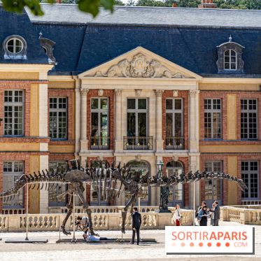 Un dinosaure géant au Château de Dampierre - Jurassique au Château de Dampierre -  A7C8924
