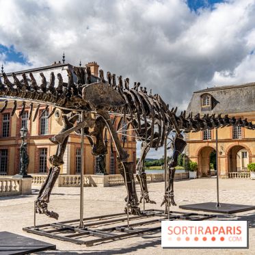 Un dinosaure géant au Château de Dampierre - Jurassique au Château de Dampierre -  A7C8894