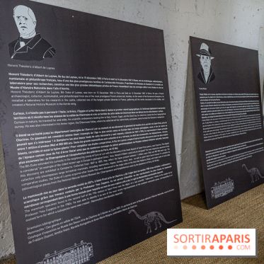 Un dinosaure géant au Château de Dampierre - Jurassique au Château de Dampierre -  A7C8904