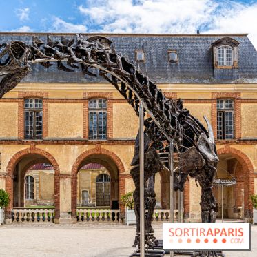 Un dinosaure géant au Château de Dampierre - Jurassique au Château de Dampierre -  A7C8901