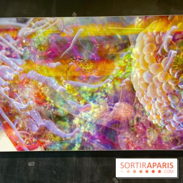 Le monde est à tous.tes - IMG 2543