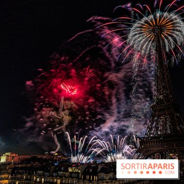Feu d'artifice du 14 juillet de Paris 2024, les photos 