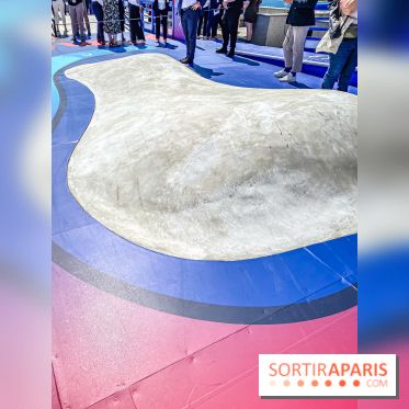 Saint-Gobain Skate Game