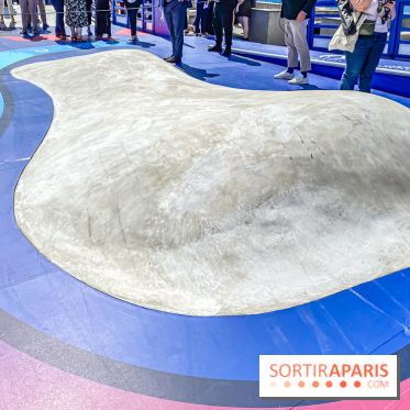 Saint-Gobain Skate Game