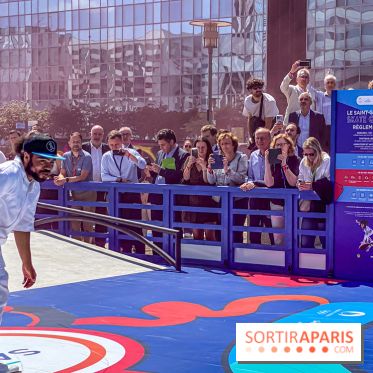 Saint-Gobain Skate Game
