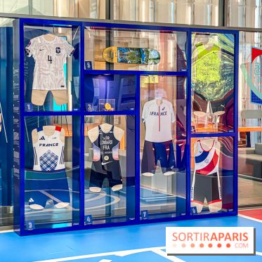 Saint-Gobain Skate Game