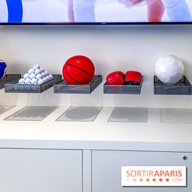 Saint-Gobain Skate Game