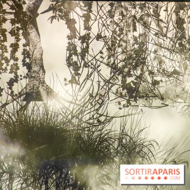 Decoding Korea : l'art numérique et contemporain coréen se dévoile au Grand Palais Immersif - IMG20240725151450