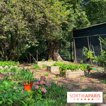 Camping Paris Maisons-Laffite