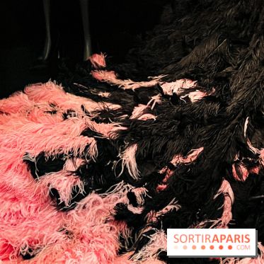 JO paris 2024 : Les tenues de scène de Lady Gaga, Aya Nakamura et Céline Dion exposées à la Galerie Dior  - image00004