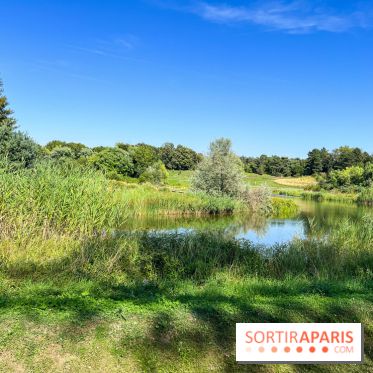 Le parc Georges-Valbon de la Courneuve - nos photos - image00012