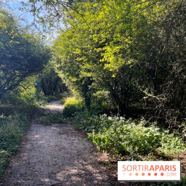 Le parc Georges-Valbon de la Courneuve - nos photos - image00002