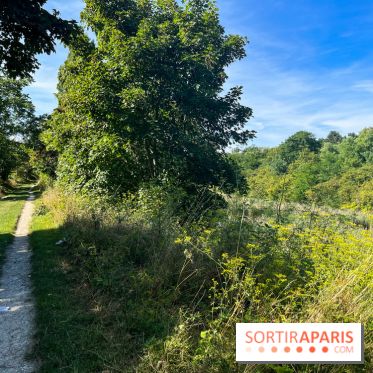 Le parc Georges-Valbon de la Courneuve - nos photos - image00001