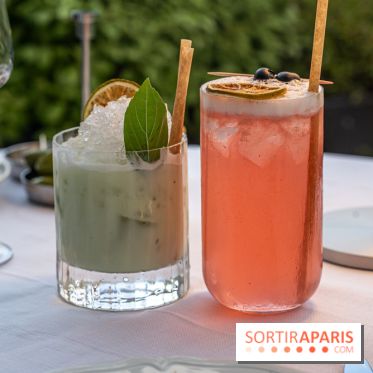 La terrasse dans un jardin avec vue Tour Eiffel du Marguerite 1606 au Domaine de la Reine Margot -  A7C1341