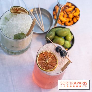 La terrasse dans un jardin avec vue Tour Eiffel du Marguerite 1606 au Domaine de la Reine Margot -  A7C1343