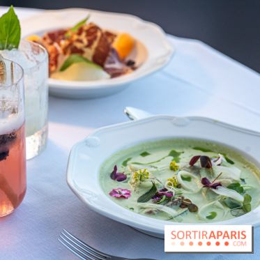 La terrasse dans un jardin avec vue Tour Eiffel du Marguerite 1606 au Domaine de la Reine Margot -  A7C1361