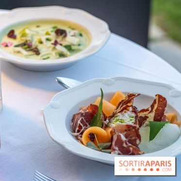 La terrasse dans un jardin avec vue Tour Eiffel du Marguerite 1606 au Domaine de la Reine Margot -  A7C1364