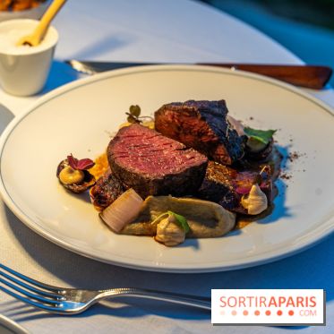 La terrasse dans un jardin avec vue Tour Eiffel du Marguerite 1606 au Domaine de la Reine Margot -  A7C1368