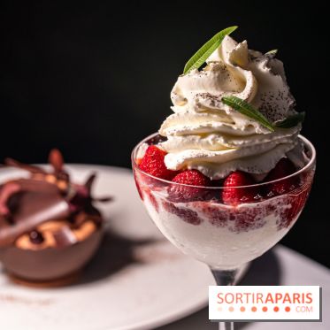 La terrasse dans un jardin avec vue Tour Eiffel du Marguerite 1606 au Domaine de la Reine Margot -  A7C1378