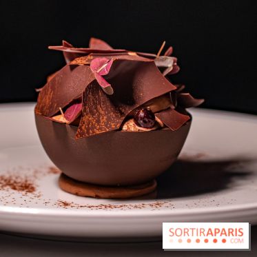 La terrasse dans un jardin avec vue Tour Eiffel du Marguerite 1606 au Domaine de la Reine Margot -  A7C1381