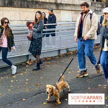 Paris Sausage Walk 2024 : la marche des teckels de retour dans la capitale - image00015