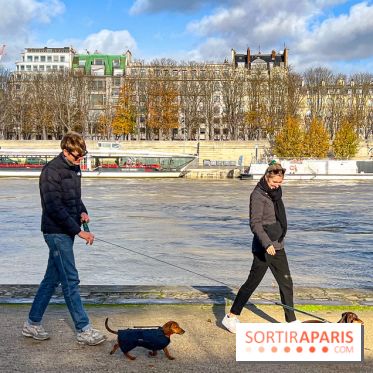 Paris Sausage Walk 2024 : la marche des teckels de retour dans la capitale - image00021